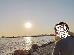 -合肥滨湖国家森林公园