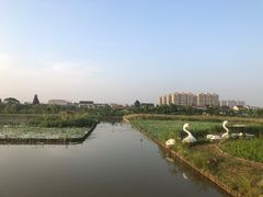 -江天生态园餐厅
