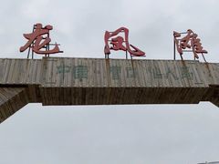 -仙人岛风景区
