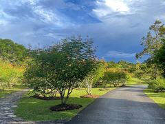 -中国科学院西双版纳热带植物园