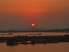 -芒洲湿地公园