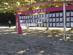 -白塘生态植物园