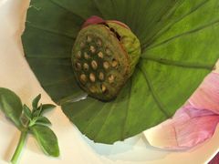 -叶叶菩提(太原别墅店)