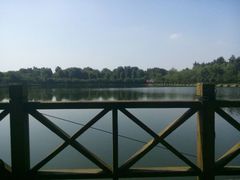 android_upload_pic-水天花月