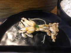 -靓蛙馆