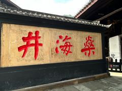 -燊海井