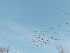 -雍和宫(地铁站)