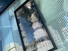 -BLACKSWAN黑天鹅(环球店)