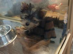 -乐宠宠物店(世纪金源店)