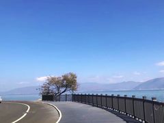 -大理洱海