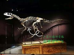 -正佳自然科学博物馆