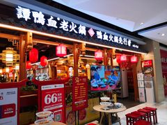 -谭鸭血老火锅(万象九宜城店)
