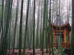-蜀南竹海景区