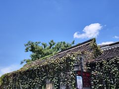 -绍兴鲁迅故里·沈园景区