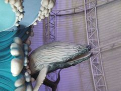 -烟台海昌鲸鲨海洋公园