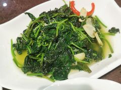清炒苕尖-刘胖子家常菜·蹄花焖藕(中南店)