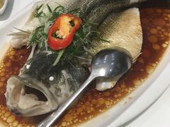 -至潮餐厅精致粤菜·活鲈鱼·走地鸡(珠江新城店)