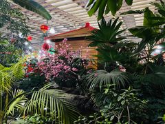 -兴芮温泉度假区