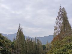 -田野绿世界