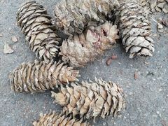 -丹东天桥沟景区