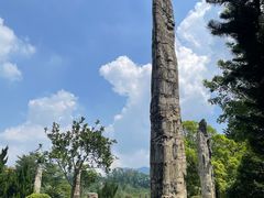 -深圳仙湖植物园