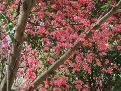 -火炉山森林公园