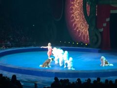 -珠海横琴长隆《卡卡虎奇遇记》