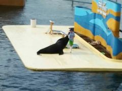 -秦皇岛乐岛海洋王国