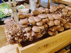 鲜采香菇-大头椰·椰子鸡火锅(南宁万象城店)