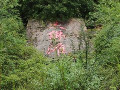-冶力关旅游区