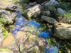 -玉渡山自然风景区