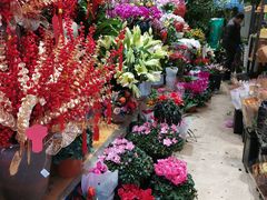 -沪花拾者(好再来花卉鲜花店)