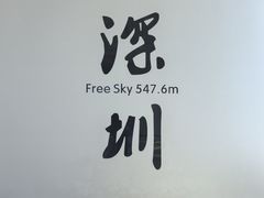 -平安金融中心云际观光层