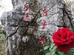 -鹅湖玫瑰文化园