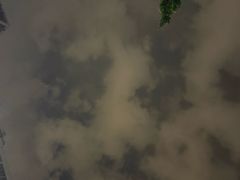 -金海椒罐罐鲢鱼(东方桂苑店)