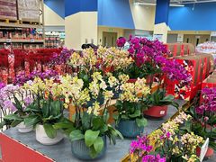 -盒马X会员店(王府井奥莱UP TOWN店)