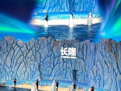 -珠海长隆海洋王国