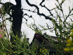 -西安理工大学(金花校区)