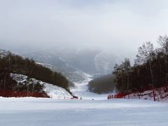 -密苑云顶乐园(云顶滑雪场)