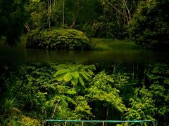 -热带雨林自然公园