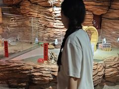 -正佳雨林生态植物园