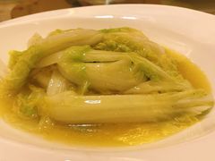 -丁老爷子苏香圆