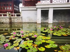 -厦门园林博览苑
