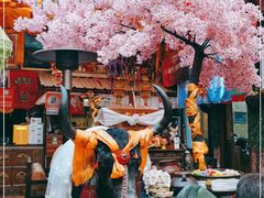 -吉祥圣雪藏餐