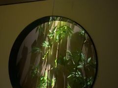 -鹤祥宫·影院足道·SPA连锁(沙井店)