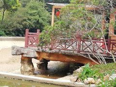 -云溪植物园