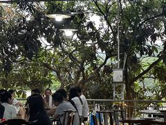 -桃源山庄·水蜜桃采摘·柴火鸡·烧烤团建(龙泉山店)