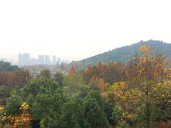 -西湖风景区-江洋畈生态公园