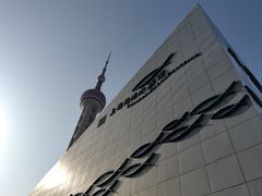 -上海海洋水族馆