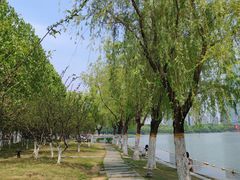 -天鹅湖体育公园